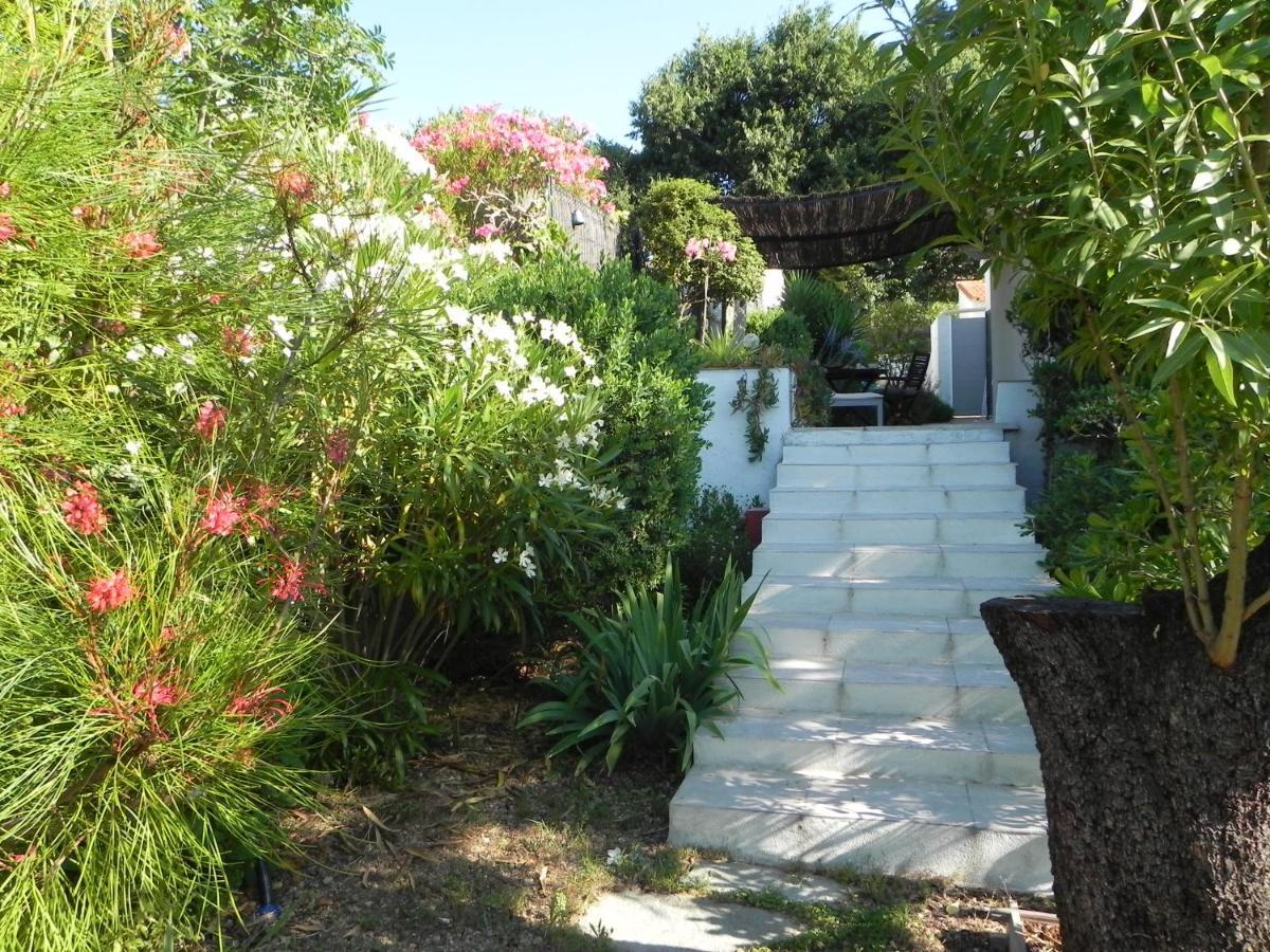 Au Pied Du Baou Avec Jardin Prive Apartment Toulon Exterior foto