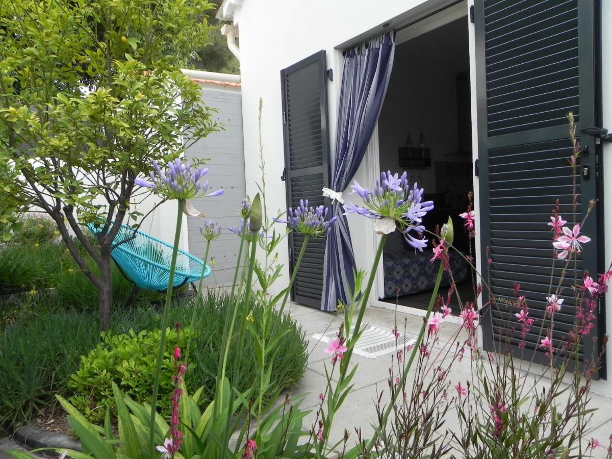 Au Pied Du Baou Avec Jardin Prive Apartment Toulon Exterior foto