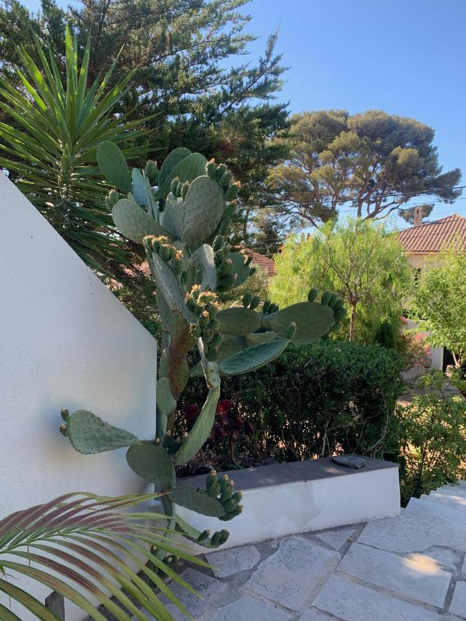 Au Pied Du Baou Avec Jardin Prive Apartment Toulon Exterior foto